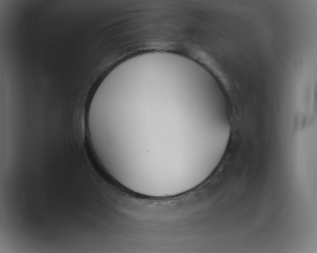 X0000089390011200706291343