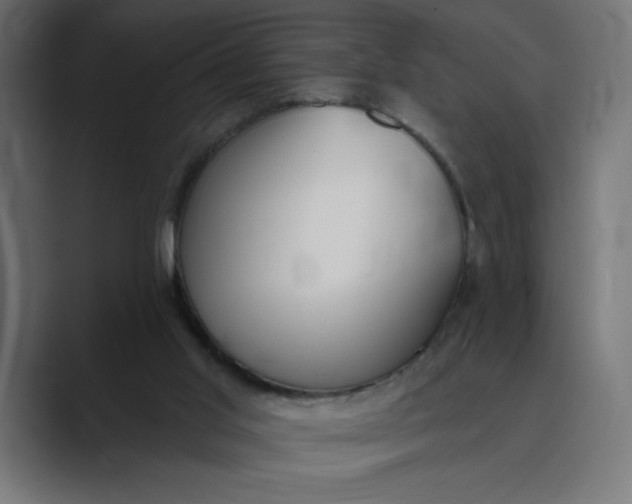 X0000089390013200706291343
