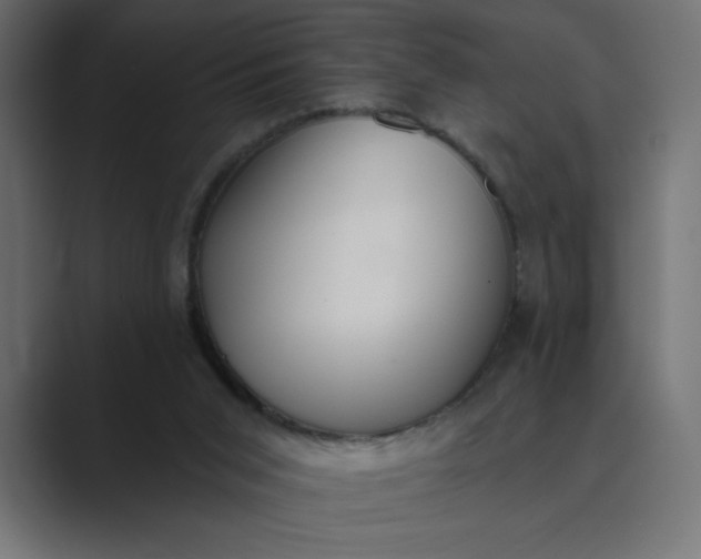 X0000089390015200706291343