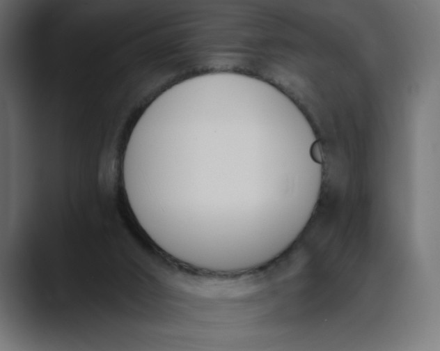 X0000089390016200706291343