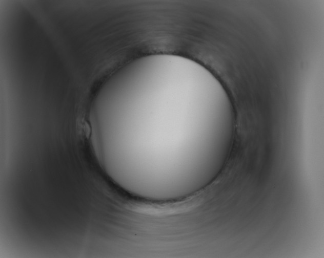 X0000089390017200706291343