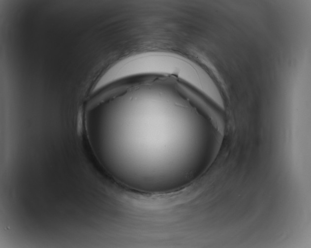 X0000089390019200706291343