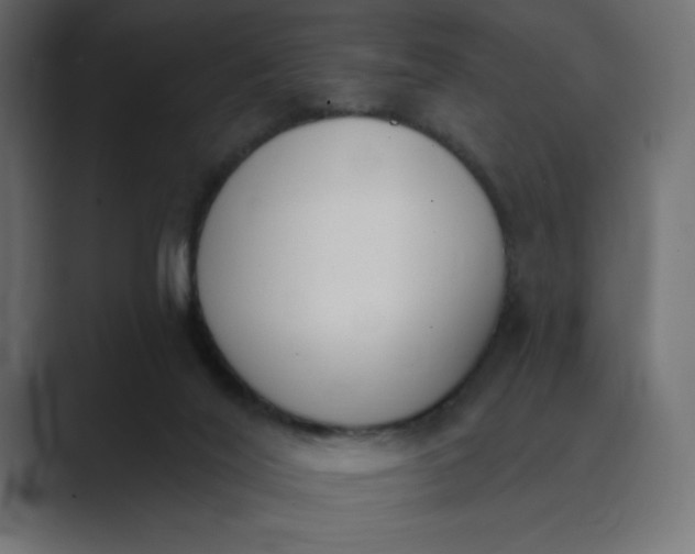 X0000089390020200706291343