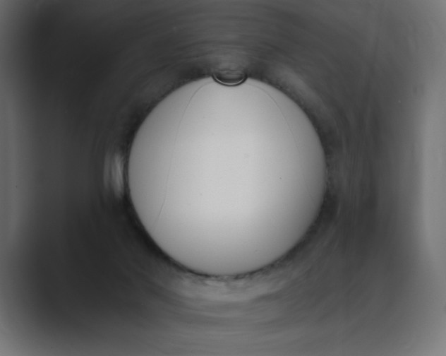 X0000089390022200706291343