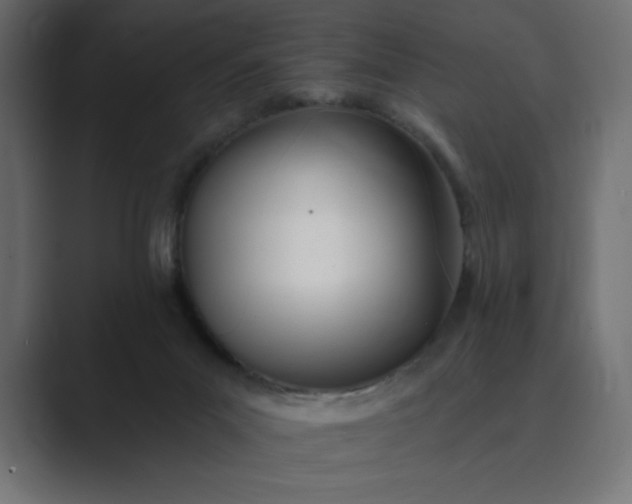 X0000089390023200706291343