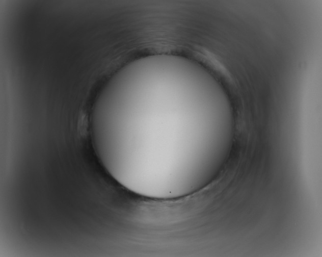 X0000089390025200706291343