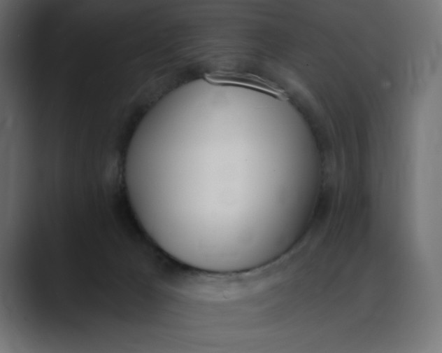 X0000089390029200706291342