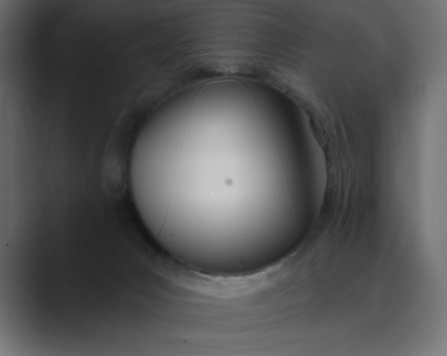 X0000089390031200706291342