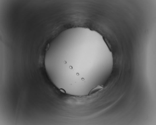 X0000089390033200706291342