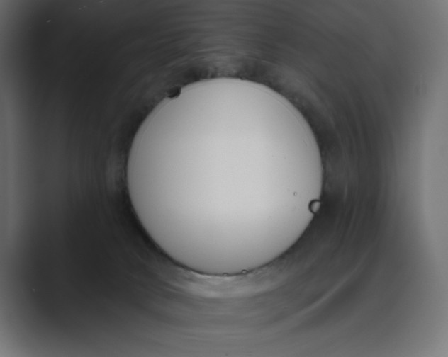 X0000089390034200706291342