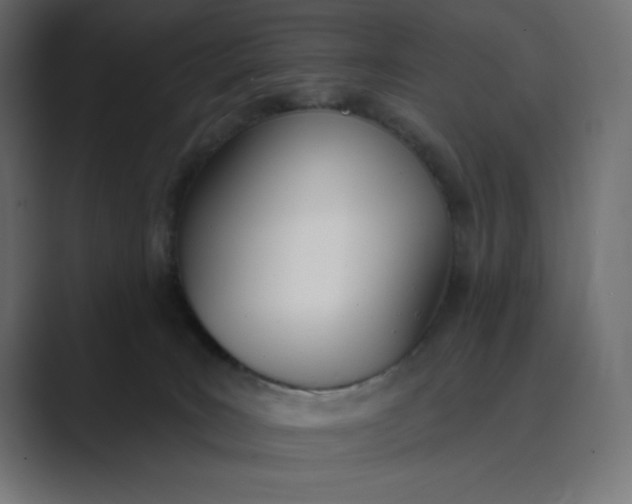 X0000089390035200706291342