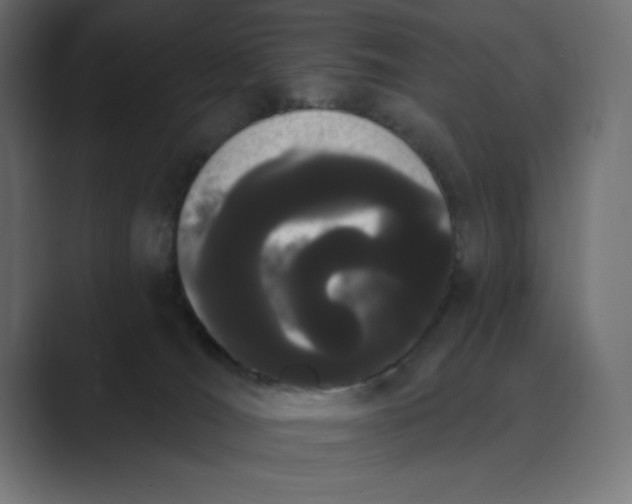 X0000089390036200706291342