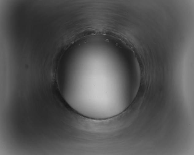 X0000089390039200706291342