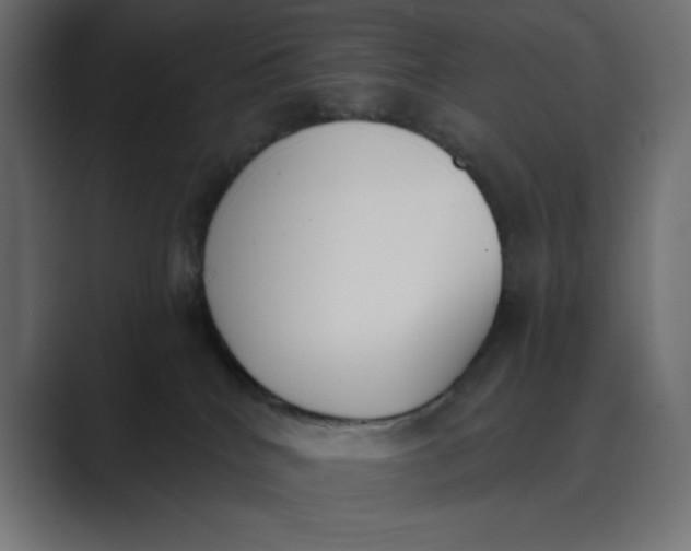X0000089390040200706291342
