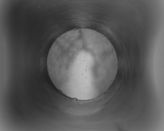 X0000089390043200706291342