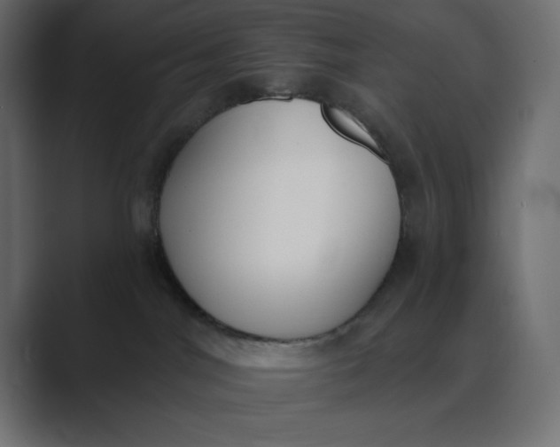 X0000089390044200706291342