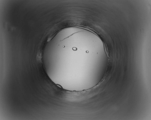 X0000089390045200706291342