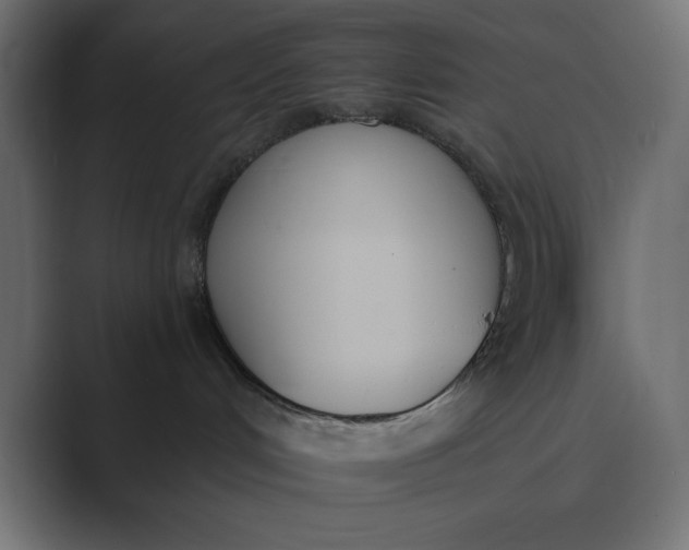 X0000089390048200706291342