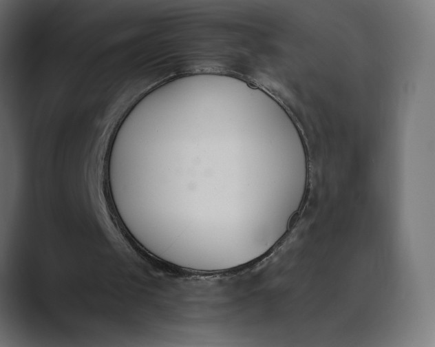 X0000089390049200706291342