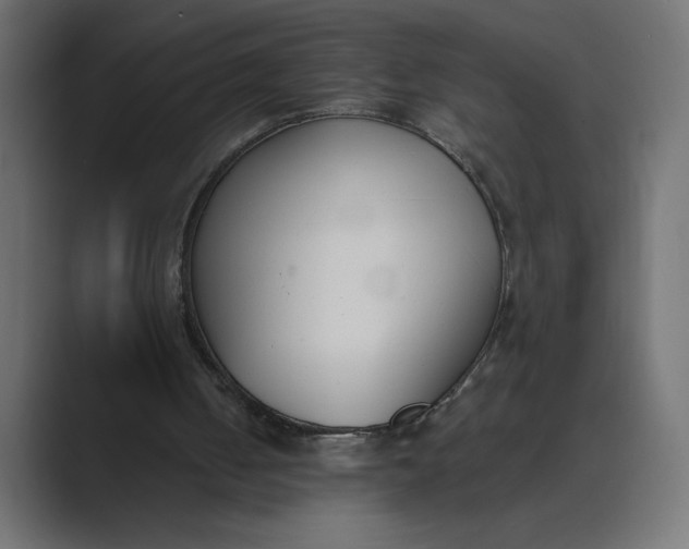X0000089390050200706291342