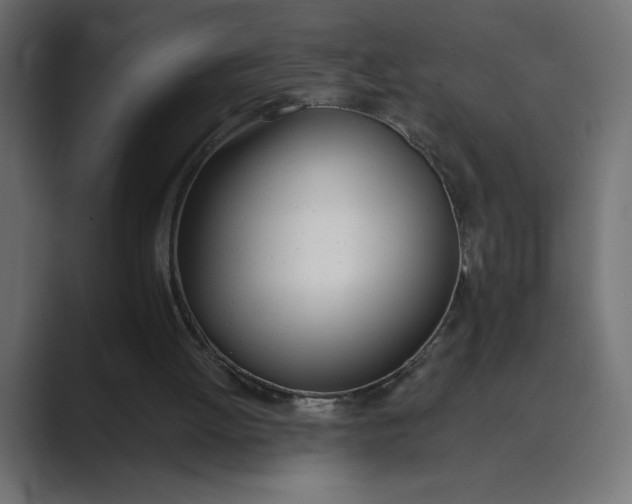 X0000089390052200706291342