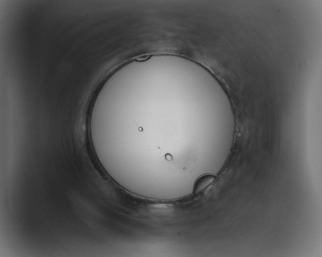 X0000089390053200706291342
