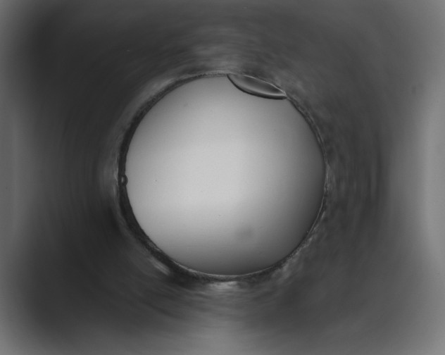 X0000089390054200706291342