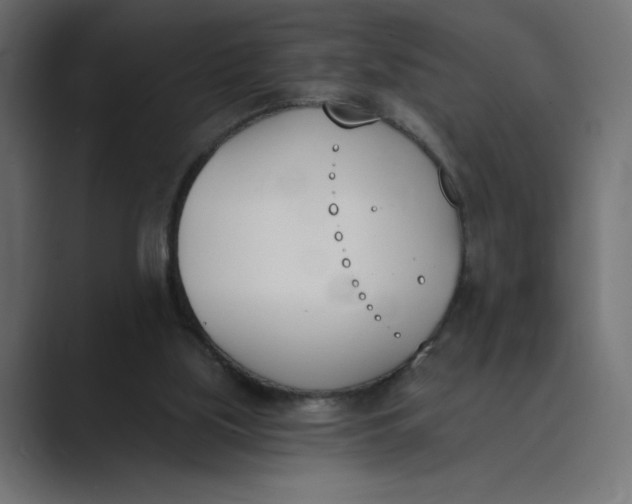 X0000089390059200706291342