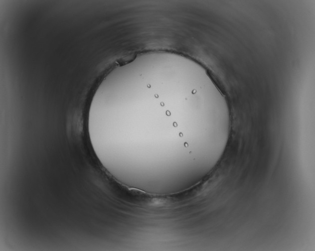 X0000089390060200706291342
