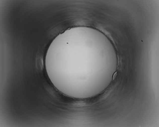 X0000089390061200706291342