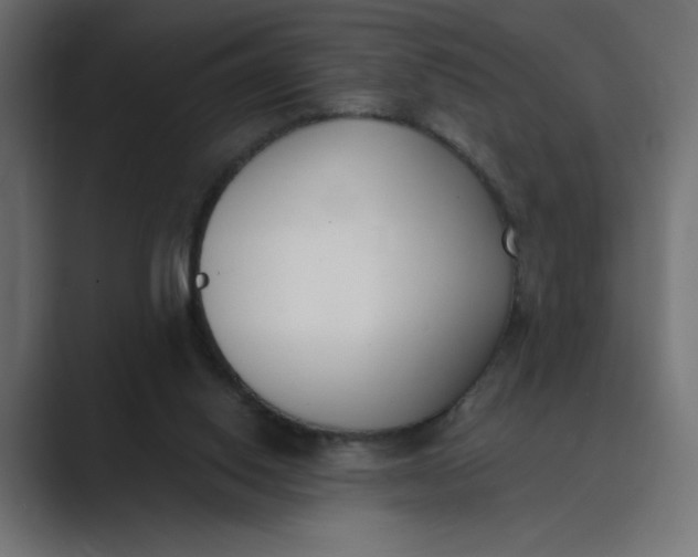 X0000089390062200706291342