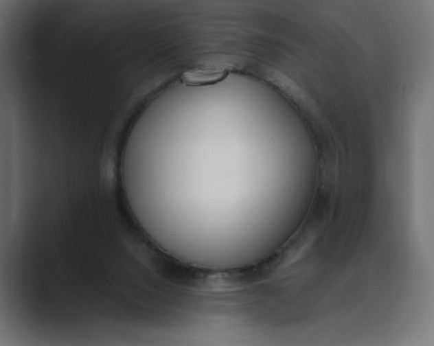 X0000089390064200706291342