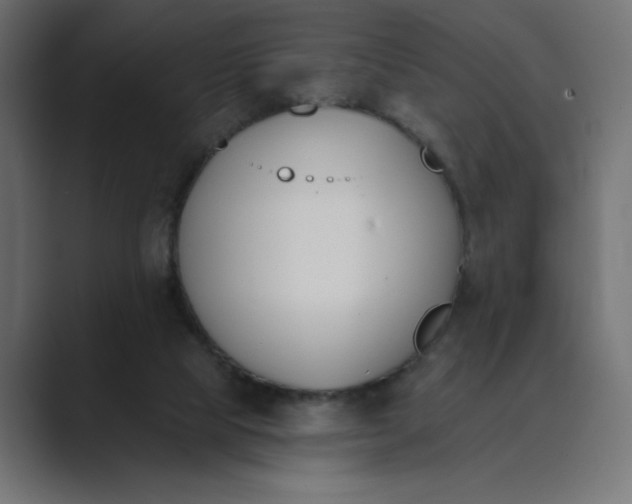 X0000089390065200706291342