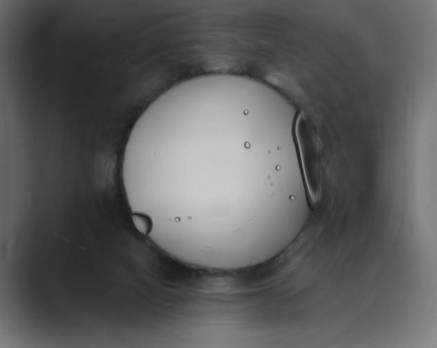X0000089390066200706291342