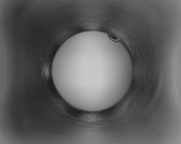 X0000089390069200706291342