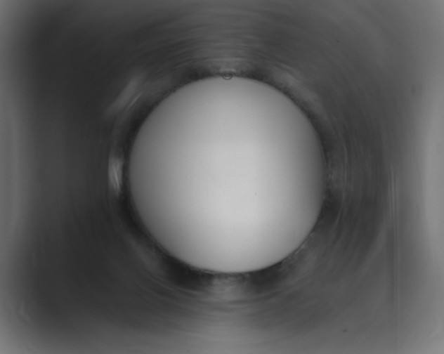 X0000089390070200706291342