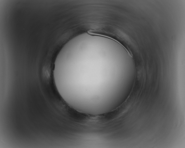 X0000089390072200706291342
