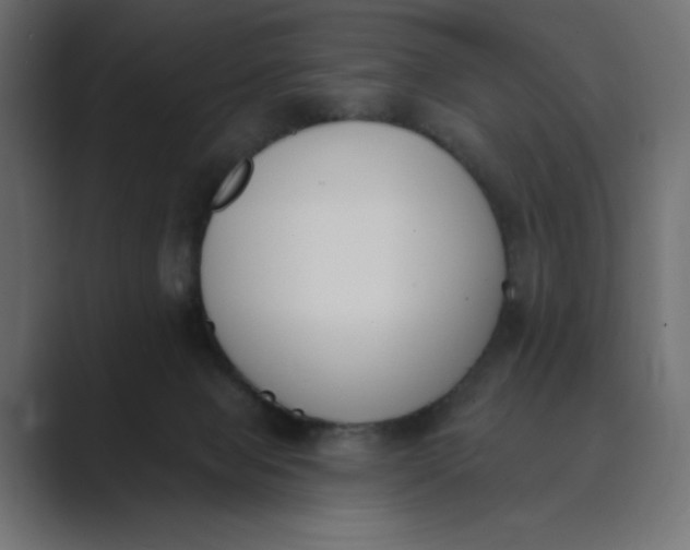 X0000089390077200706291342