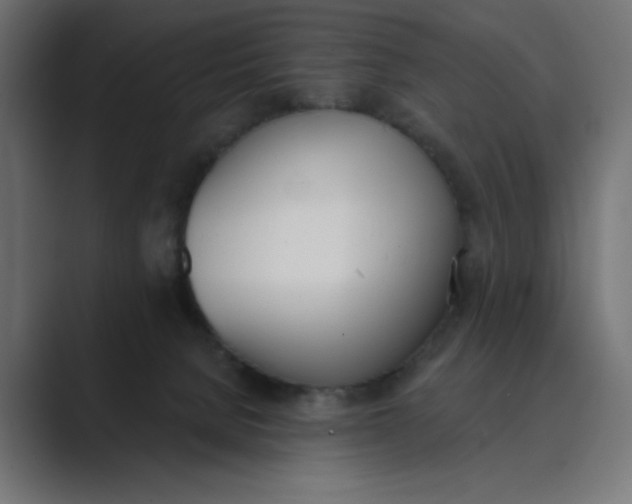 X0000089390080200706291342