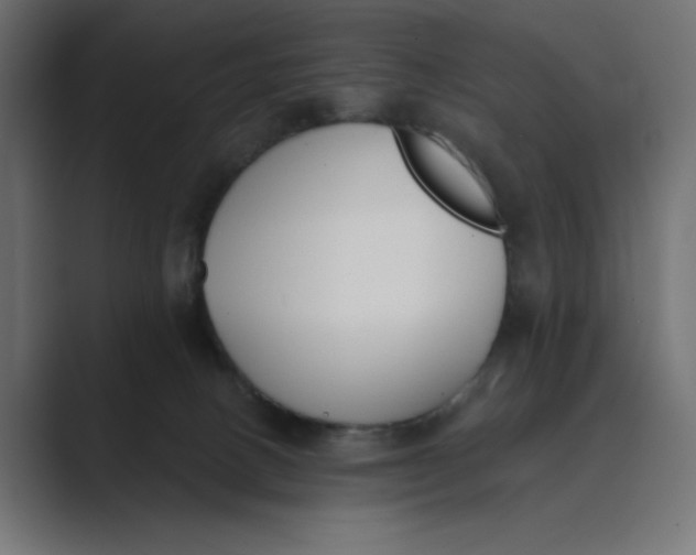 X0000089390082200706291342