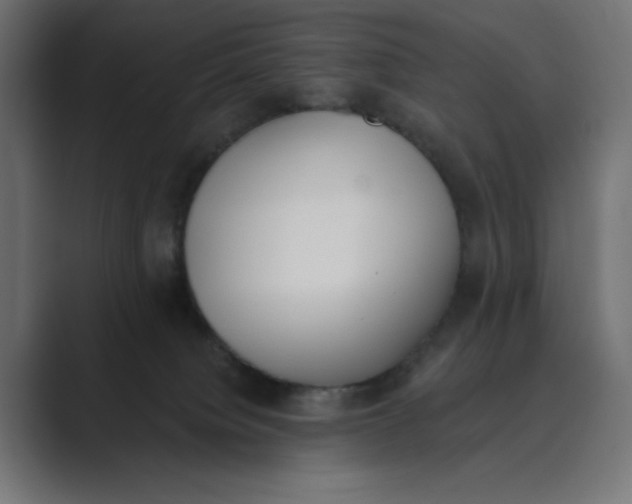 X0000089390084200706291342