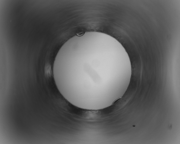 X0000089390089200706291342