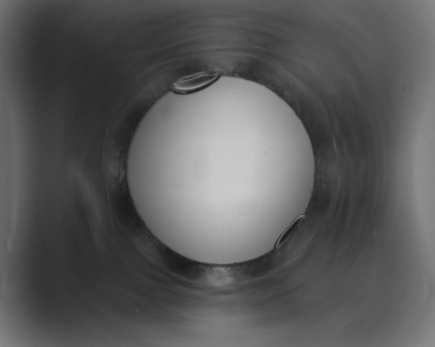 X0000089390091200706291342