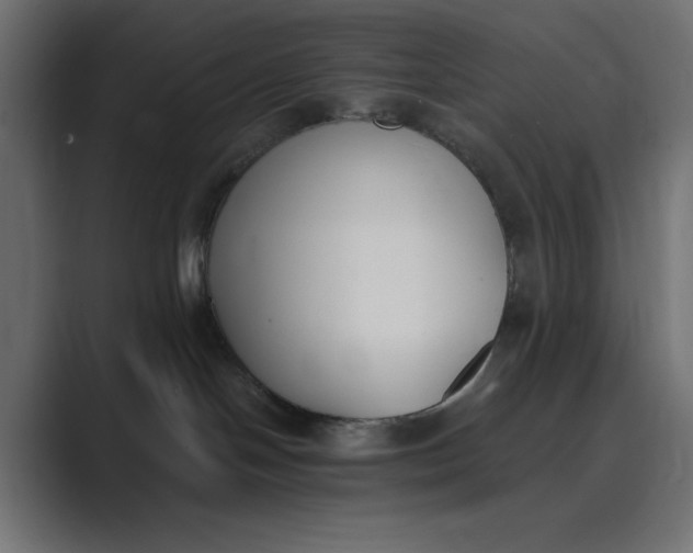 X0000089390094200706291342