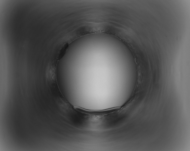 X0000089390096200706291342