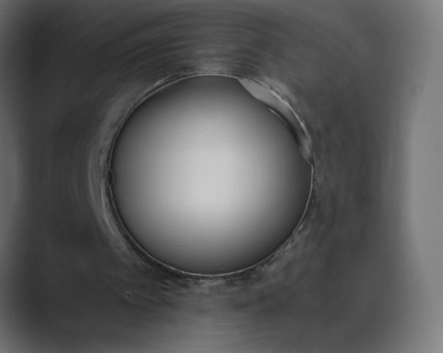 X0000089390097200706291342