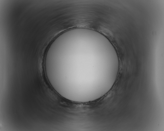 X0000089390098200706291342