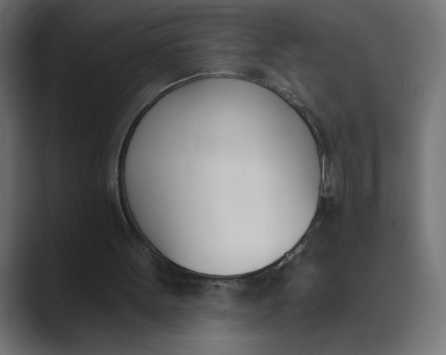 X0000089390099200706291342