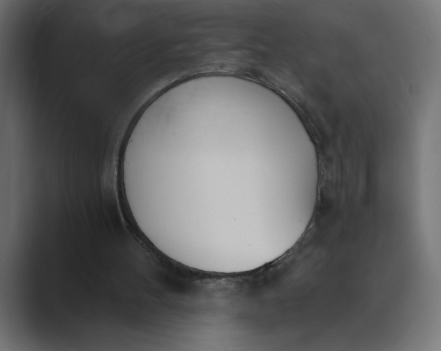 X0000089390100200706291342