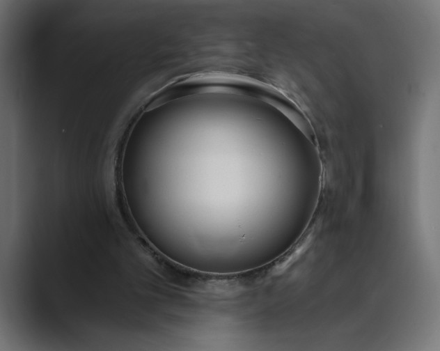 X0000089390101200706291342